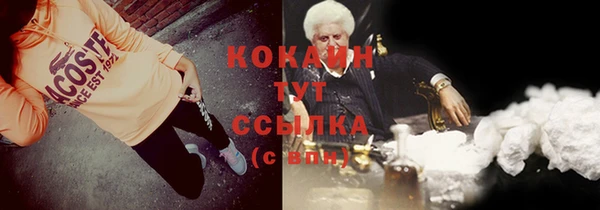 стаф Алзамай
