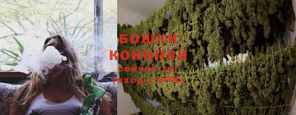 амф Заволжье