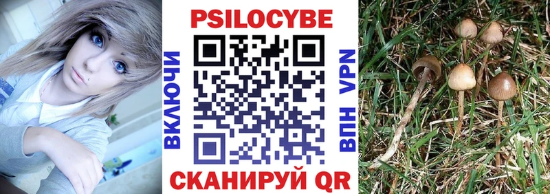закладки  Саки  Галлюциногенные грибы мицелий 