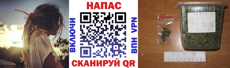 Каннабис MAZAR  Саки 